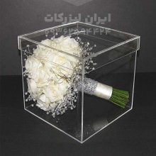 باکس گل پلکسی